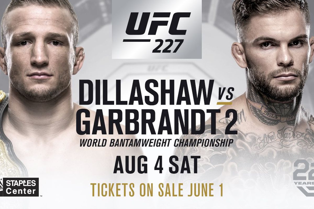 Read more about the article WHERE TO STREAM UFC 227 LIVE ON KODI
